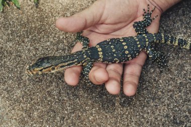 Elinde Asya Bebek su monitörkertenkele