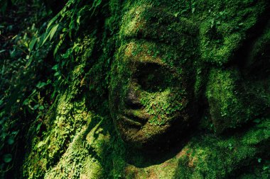 Oyma iblisler Bali yosun dokusu ile kaplı duvar arka planda yüzler