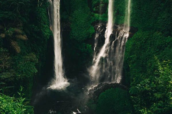 Sekumpul şelale Bali tropikal orman tarafından çevrili