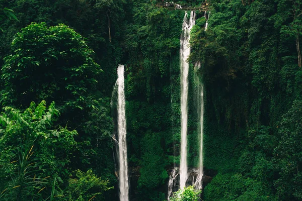 Sekumpul şelale Bali tropikal orman tarafından çevrili — Stok fotoğraf