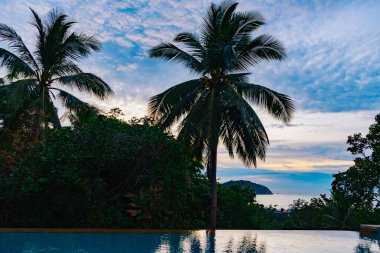 Güzel tropikal günbatımı gökyüzü palmiye ağaçları ile