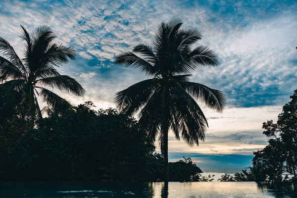 Céu tropical bonito do por do sol com palmeiras — Fotografia de Stock