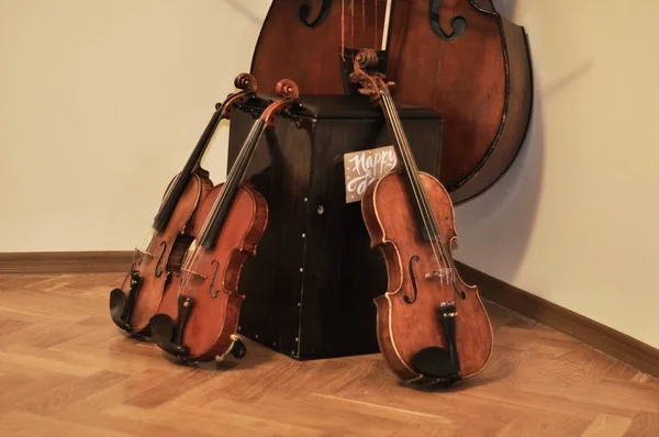 Μουσικά Όργανα Βιολί Βιολοντσέλο — Φωτογραφία Αρχείου
