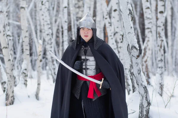 Ortaçağ Savaşçısı Zırhlı Miğferli Elinde Kılıçla Kış Huş Ağacının Arka — Stok fotoğraf