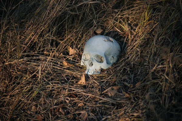 Crânio Humano Danificado Perfurado Encontra Chão Grama Seca Outono Halloween — Fotografia de Stock