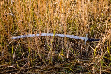 Kılıç uzun otların üzerinde yatıyor.