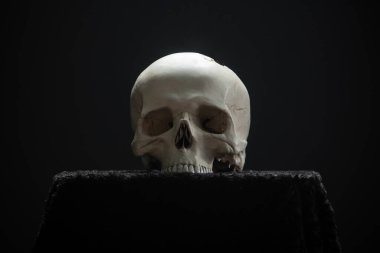 Kafatası sunakta, karanlıkta, siyah bir arka planda yatıyor..