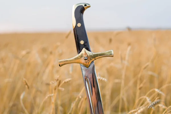 麦田里的剑 — 图库照片