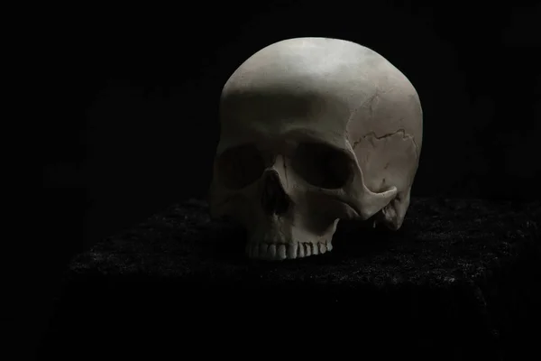 Kafatası Sunakta Karanlıkta Siyah Bir Arka Planda Yatıyor — Stok fotoğraf