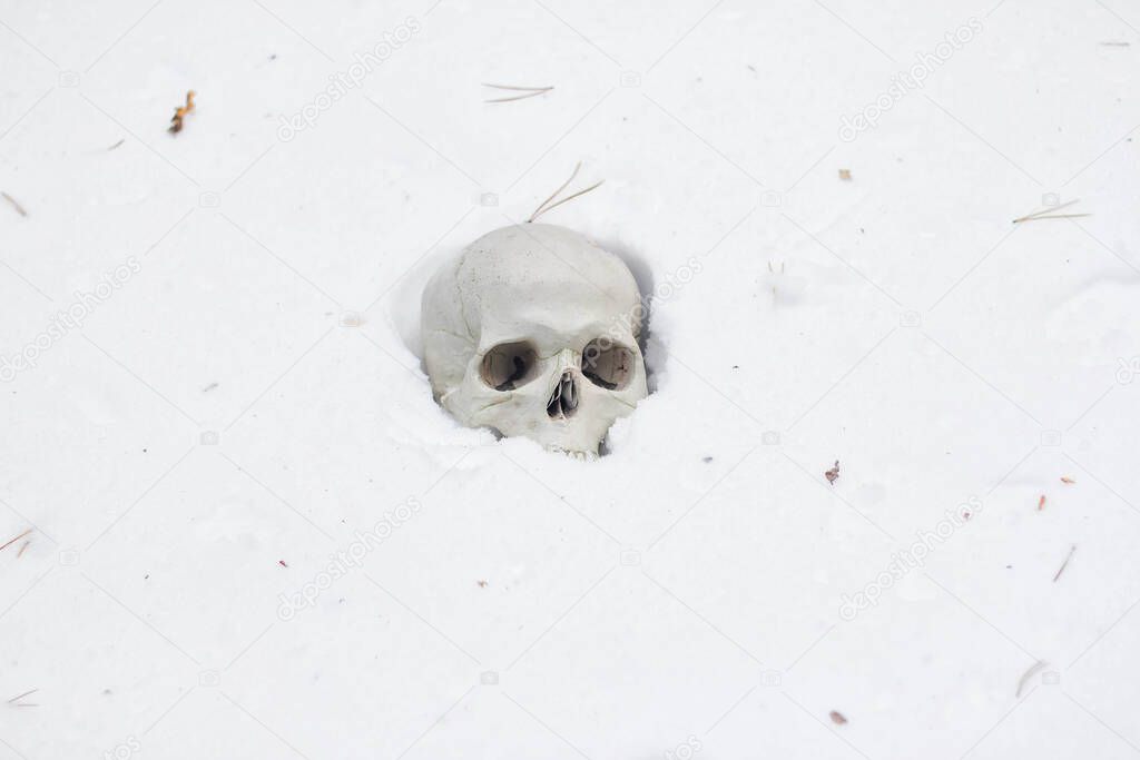 the human skull lies in the snow