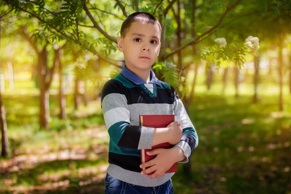 Portrait of a boy standing with a book in his hands in the park.