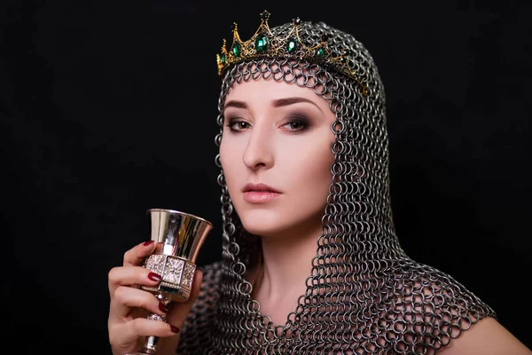 Retrato Beleza Uma Menina Capuz Chainmail Com Uma Coroa Cabeça — Fotografia de Stock