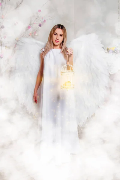 A young girl in a white tunic with large white wings behind her back stands in white clouds and holds a lamp cage with magic light in her hands.