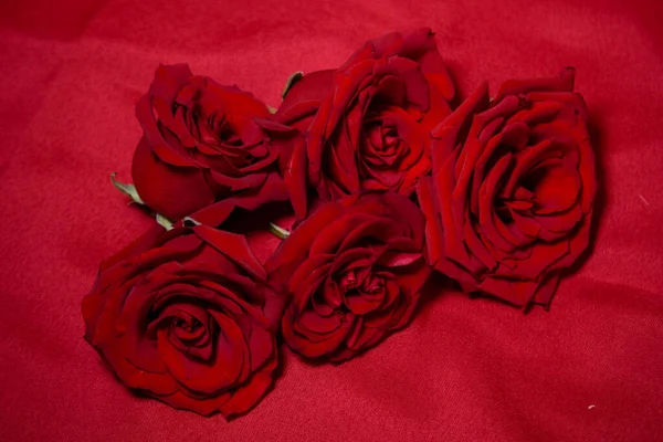 Κόκκινα Τριαντάφυλλα Κοντινή Απόσταση Υφή Λουλουδιών — Φωτογραφία Αρχείου