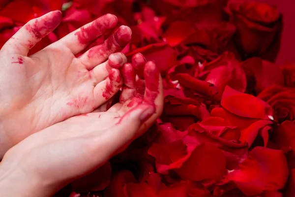 Zbliżenie Zakrwawionych Żeńskich Rąk Leżących Płatkach Róż Czerwonych — Zdjęcie stockowe