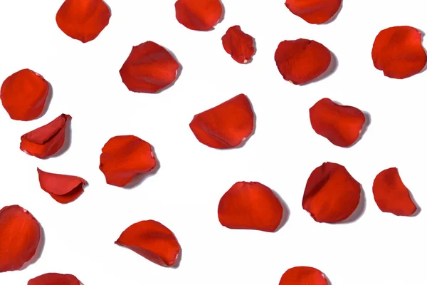 Red Heart Made Red Rose Petals Isolated Blue Background Concept — Stock Photo, Image