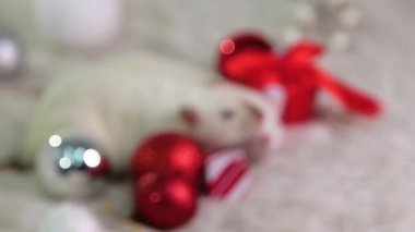 Bokeh of Christmas oyuncakları. Odak, Noel oyuncakları, hediyeler ve toplarla kürklü bir halının üzerinde uzanan iki beyaz fareye kayıyor..