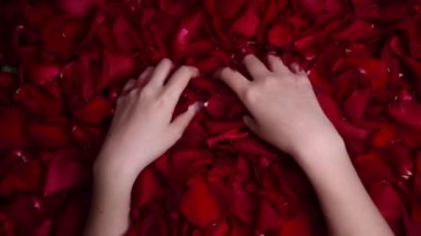  Dişi kanlı eller, yakın mesafeden gül yapraklarını ezer, koparır ve gül yapraklarını atar. Mutsuz aşk sanatı, büyücülük ritüeli..