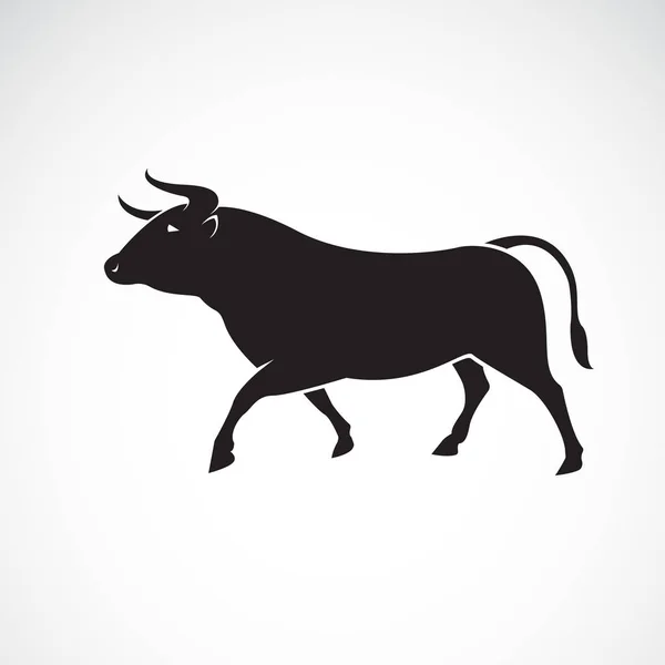 Vector Diseño Toro Sobre Fondo Blanco Animales Salvajes Ilustración Vectorial — Vector de stock