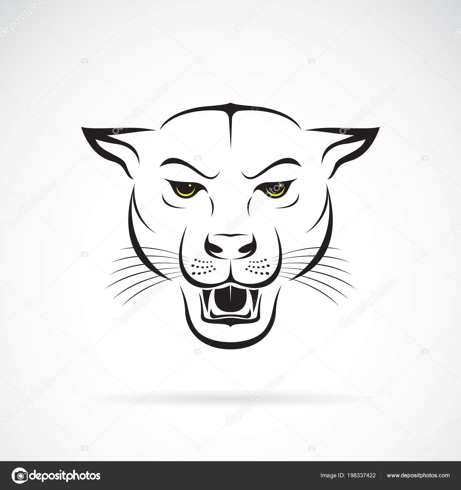 Vector of an angry panther head on white background. Wild Animal Stock Vector Image by ©yod67 #198337422 Vector of an angry panther head on white background. Wild Animal Stock Vector Image by ©yod67 #198337422