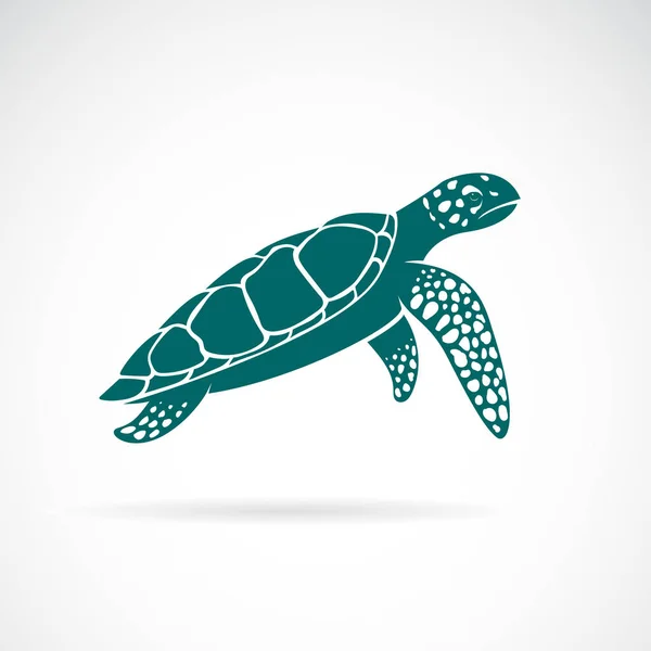 Beyaz Arka Planda Izole Edilmiş Deniz Kaplumbağası Taşıyıcısı Hayvan Herif — Stok Vektör
