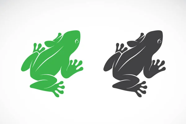 白い背景にカエルのデザインのベクトル 両生類 動物だ 編集しやすいレイヤーベクトルイラスト — ストックベクタ