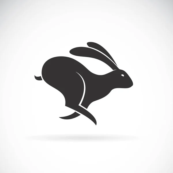 Вектор Черного Кролика Бежит Белом Фоне Дикие Животные Черный Кролик — стоковый вектор