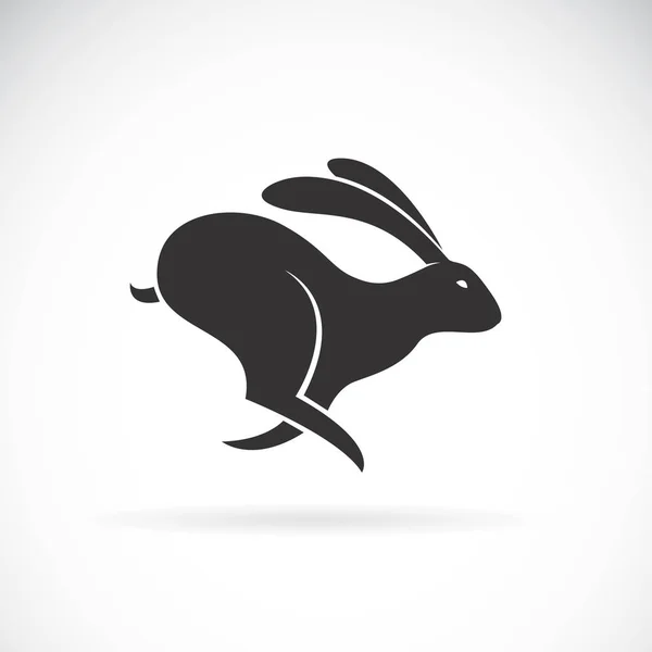 Vector Black Rabbit Running White Background Wild Animals Black Bunny — Stock Vector