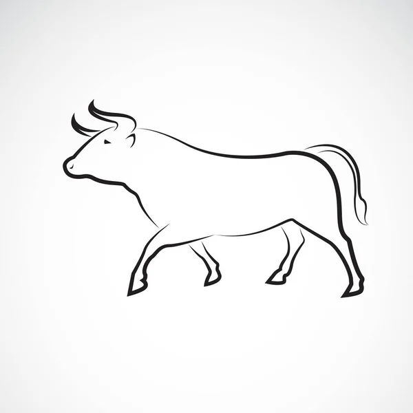 白い背景の雄牛のデザインのベクトル 野生動物 ベクトルイラスト 編集しやすいレイヤーベクトルイラスト — ストックベクタ