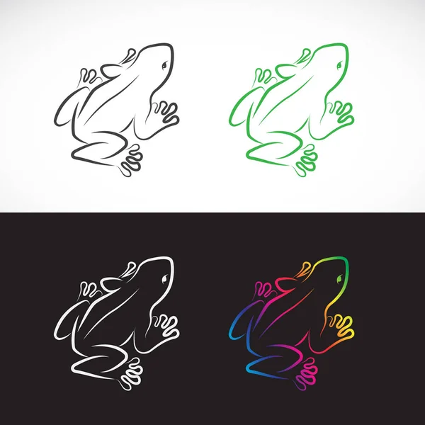 Vector Design Broaște Fundal Alb Fundal Negru Amfibian Animale Ilustrație — Vector de stoc