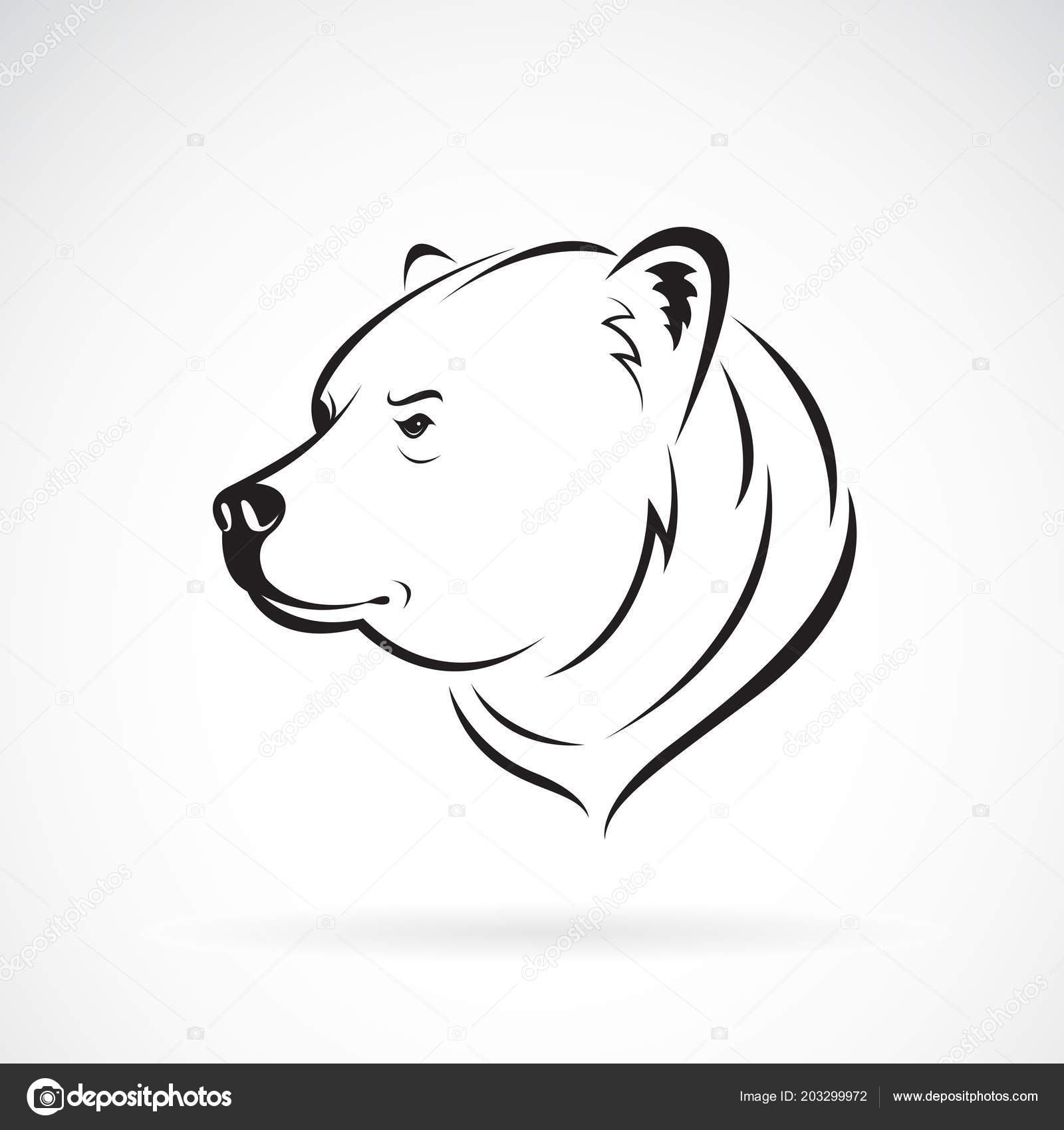 Image vectorielle Vecteur Dessin Tête D'ours Sur Fond Blanc Animaux  Sauvages Illustration par ©yod67 - 203299972, image size:1600x1700