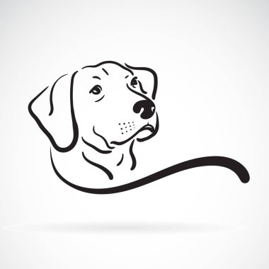 Beyaz arka planda labrador köpek kafası tasarımı vektörü, Evcil Hayvan, Hayvanlar. Kolay düzenlenebilir vektör illüstrasyonu.