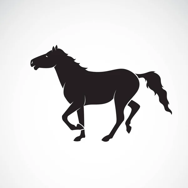 白い背景に隔離された馬のベクトル 野生動物 編集しやすいレイヤーベクトルイラスト — ストックベクタ
