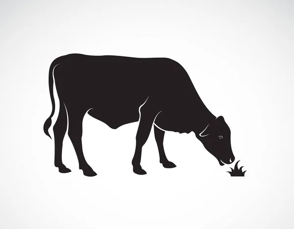 Vector Una Vaca Está Comiendo Hierba Sobre Fondo Blanco Animales — Archivo Imágenes Vectoriales