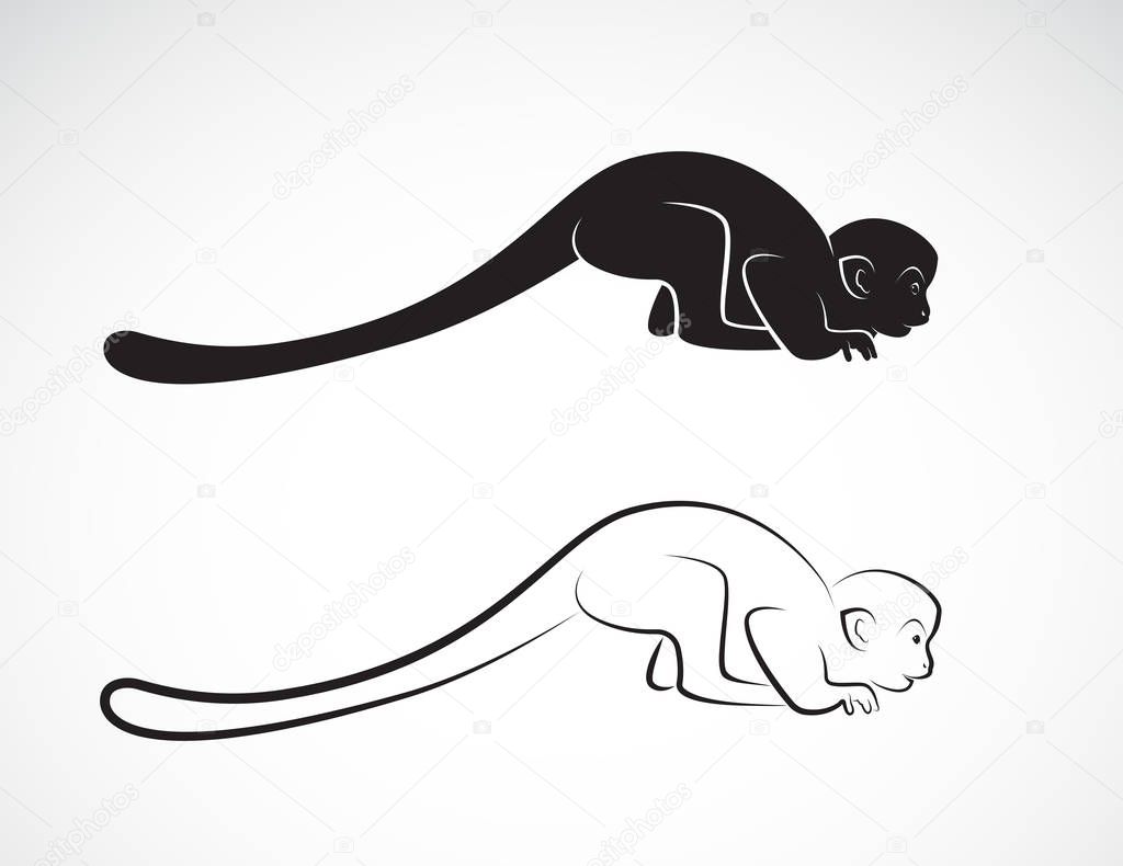 Vector of squirrel monkey design on a white background,. Wild Animals,.  Easy editable layered vector illustration.