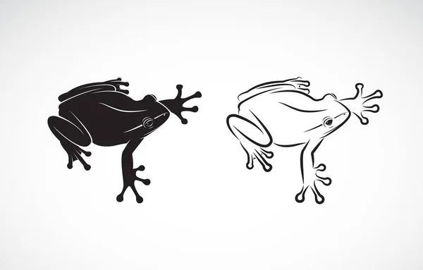 Vektor Žáby Design Bílém Pozadí Obojživelník Zvíře Žabí Ikona Jednoduchá — Stockový vektor