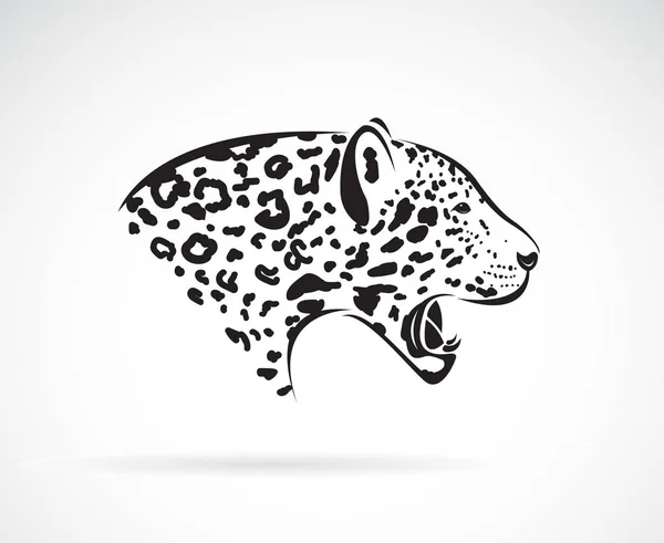 Vektor Leoparda Bílém Pozadí Divoká Zvířata Jednoduchá Upravitelná Vrstvená Vektorová — Stockový vektor