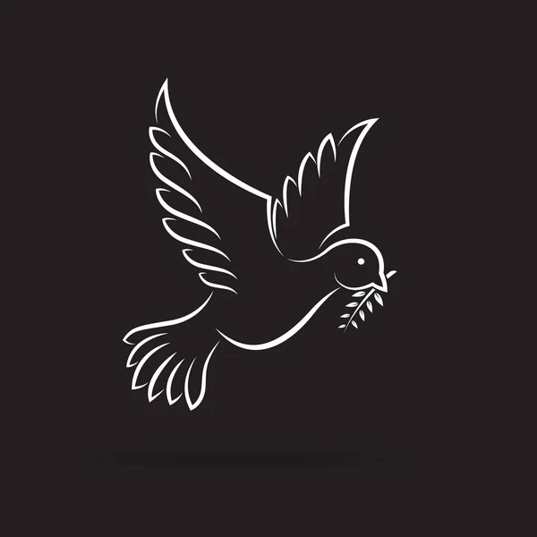 Wektor Białego Gołębia Pokoju Gałązką Oliwną Czarnym Tle Projektowanie Ptaków — Wektor stockowy