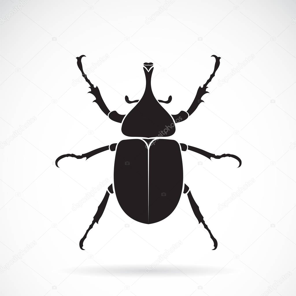 Vector of dynastinae on a white background. Insect. Animal. Beetle. Easy editable layered vector illustration.