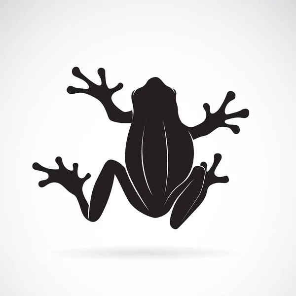 Vecteur Dessin Grenouille Sur Fond Blanc Amphibien Animal Icône Grenouille — Image vectorielle