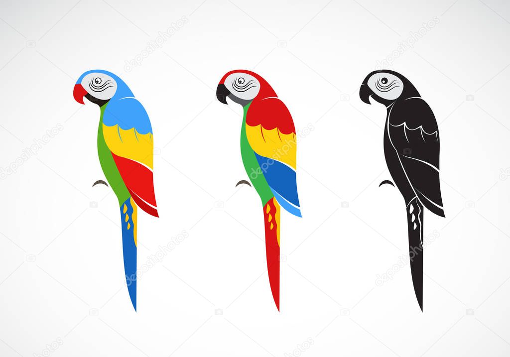 Vector of a parrot design on white background., Bird Icon., Wild Animals. Easy editable layered vector illustration.