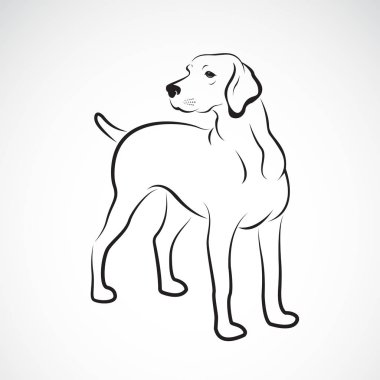 Beyaz arka planda labrador köpeğinin taşıyıcısı, evcil hayvan. Hayvanlar. Kolay düzenlenebilir vektör illüstrasyonu.