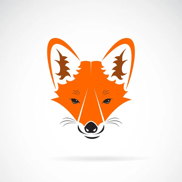 Vector Fox Face Design White Background Wild Animals Easy Editable — Stock Vector