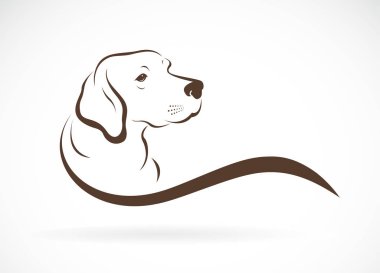 Beyaz arka planda köpek kafası vektörü (labrador), Pet. Hayvanlar. Kolay düzenlenebilir vektör illüstrasyonu.
