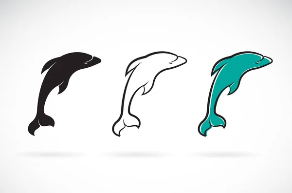 Vektor Desain Lumba Lumba Pada Latar Belakang Putih Binatang Laut - Stok Vektor