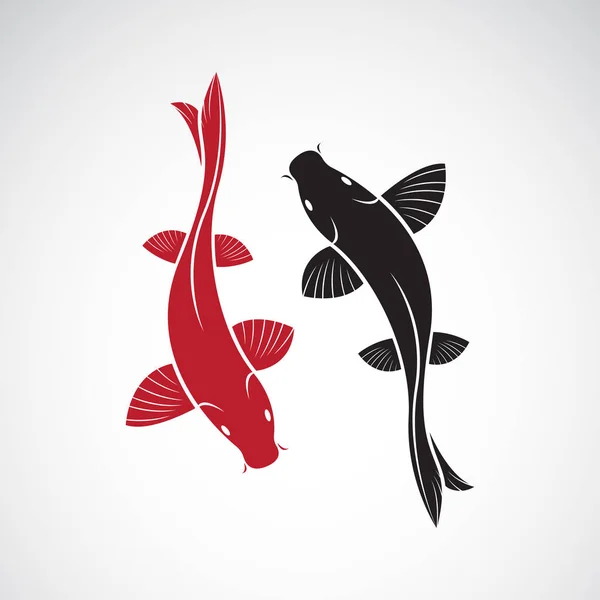 Vektor Karp Koi Fisk Isolerad Vit Bakgrund Sällskapsdjur Lätt Redigerbar — Stock vektor
