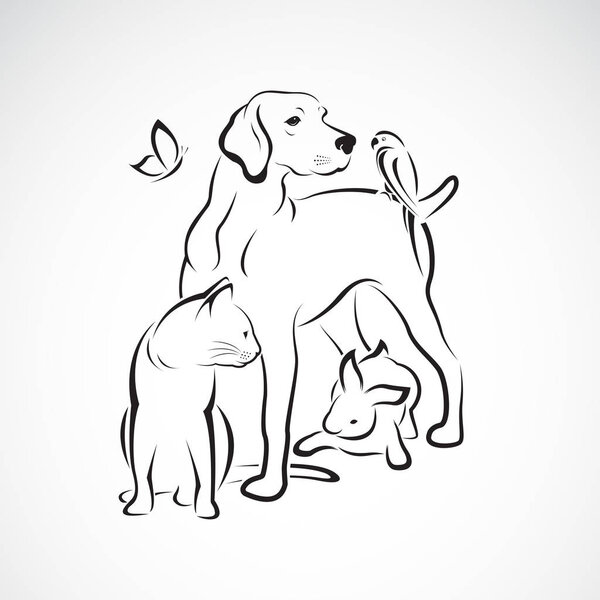 Vector group of pets - Dog, cat, parrot, rabbit, butterfly, isolated on white background. Pet. Animals. Easy editable layered vector illustration.