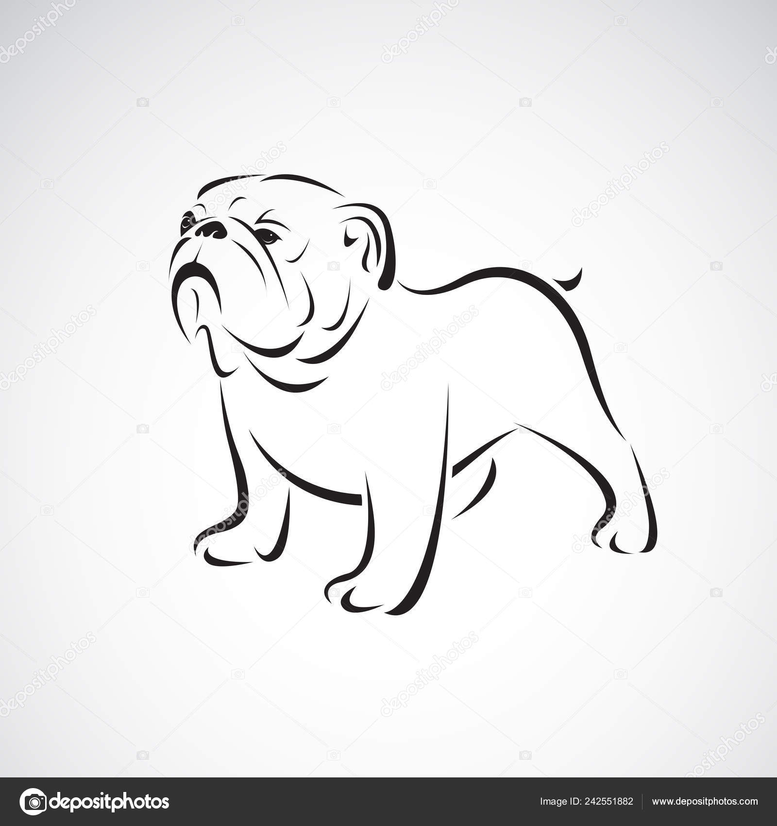 Drawings Dog Face Paint Easy Vector Bulldog Design White