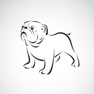 Beyaz arka planda buldog tasarımı taşıyıcısı. Evcil hayvan. Hayvanlar. Köpek logosu ya da ikon. Kolay düzenlenebilir vektör illüstrasyonu.