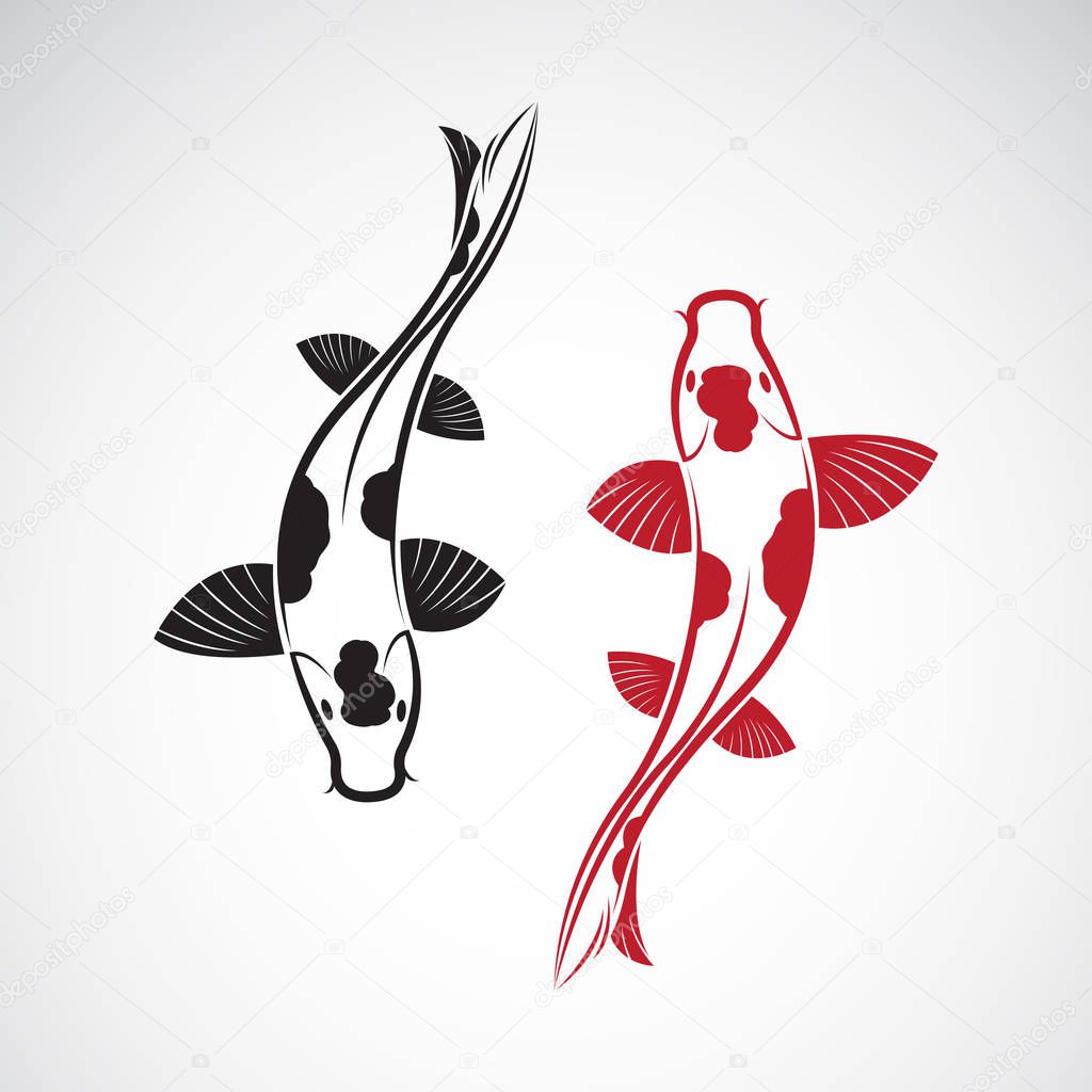 Vector of carp koi fish isolated on white background. Pet Animal. Fish icon. Easy editable layered vector illustration.